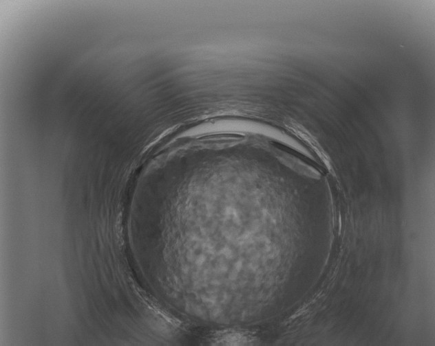 X0000059840249200510281832