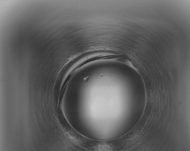 X0000059840256200510281832