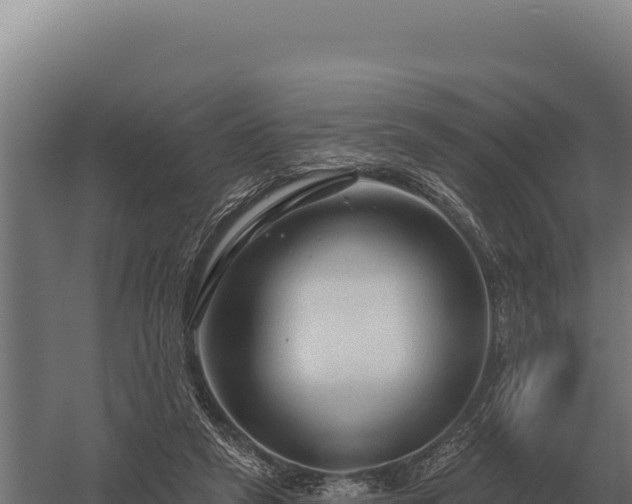 X0000059840257200510281832