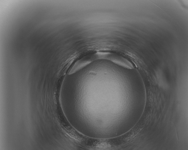 X0000059840258200510281832