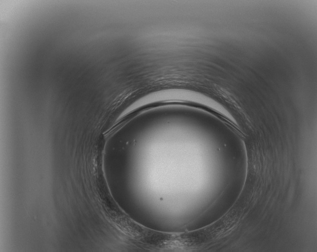 X0000059840259200510281832