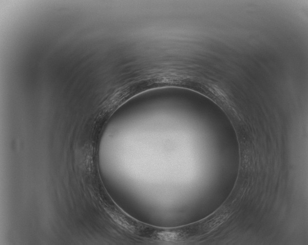 X0000059840265200510281832