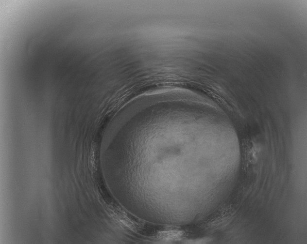 X0000059840266200510281832