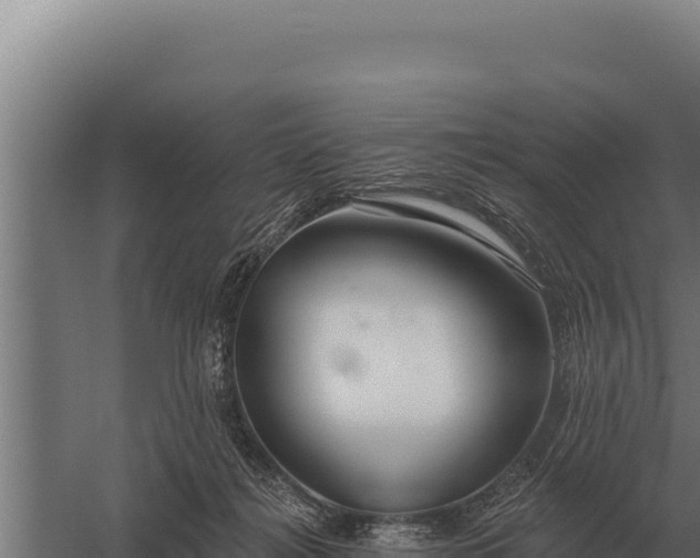 X0000059840268200510281832