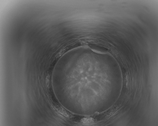 X0000059840271200510281832