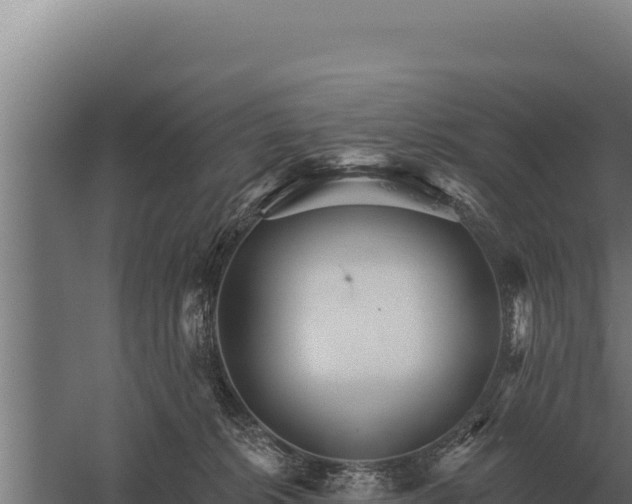 X0000059840276200510281832