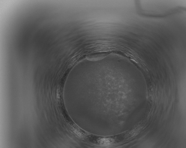 X0000059840277200510281832