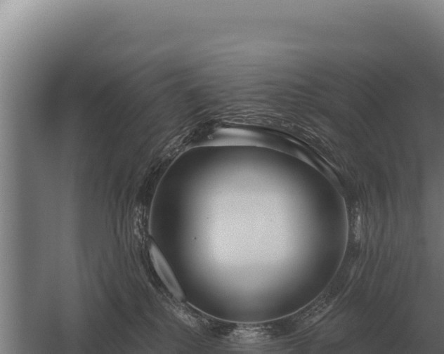 X0000059840280200510281832