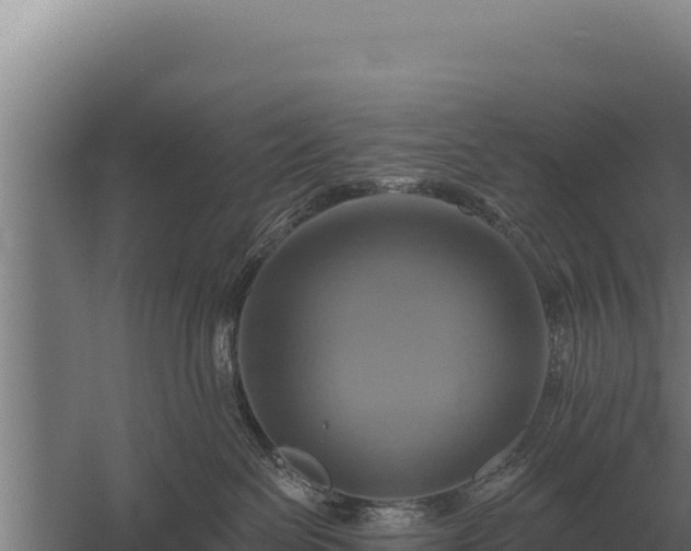 X0000059840286200510281832