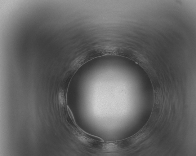 X0000059840287200510281832