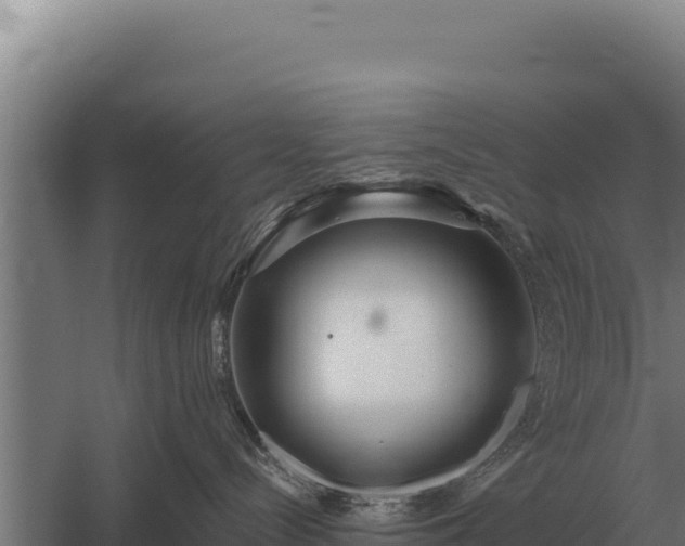 X0000059840288200510281832