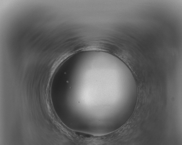 X0000059840289200510281831