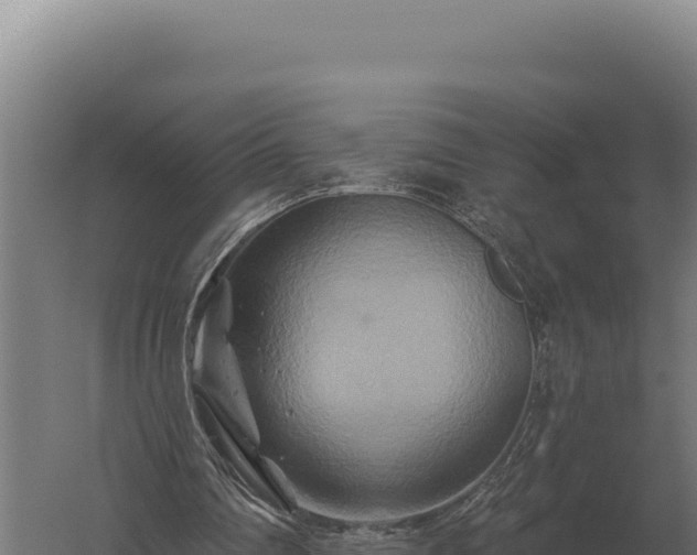 X0000059840290200510281831