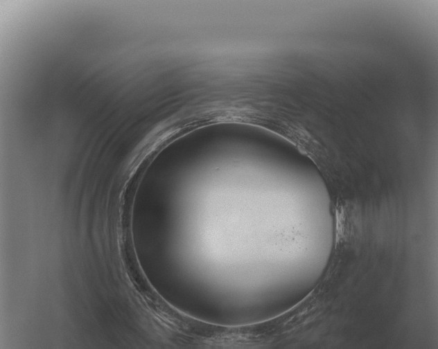 X0000059840291200510281831