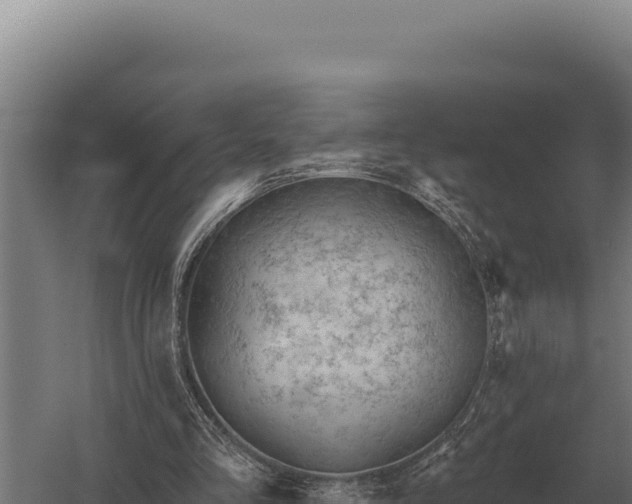 X0000059840293200510281831