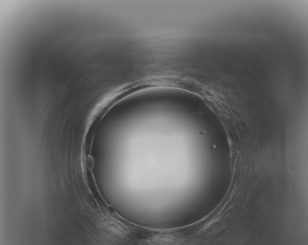 X0000059840294200510281831