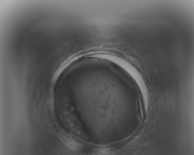 X0000059840295200510281831