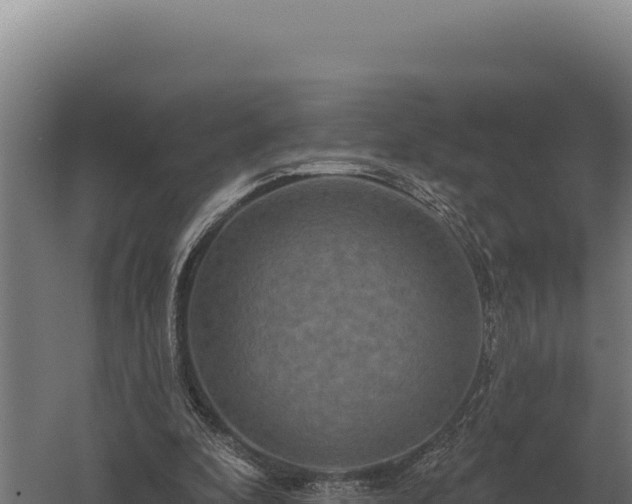 X0000059840296200510281831