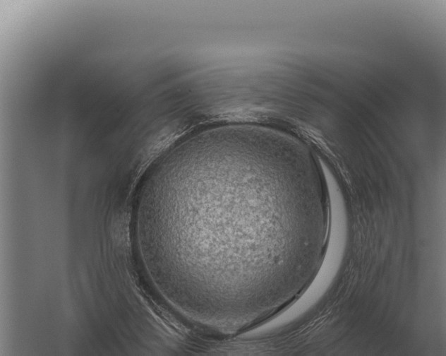 X0000059840299200510281831