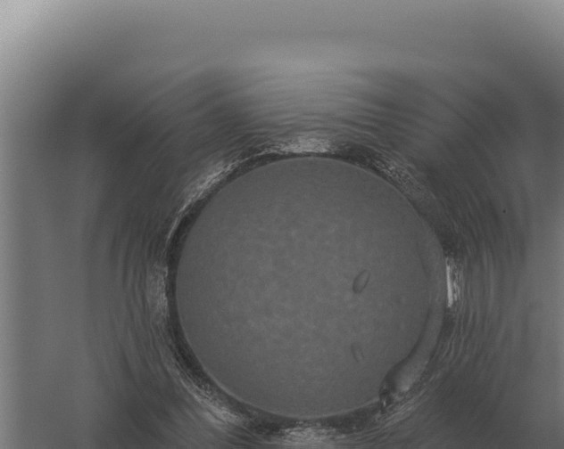 X0000059840300200510281831