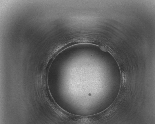 X0000059840301200510281831