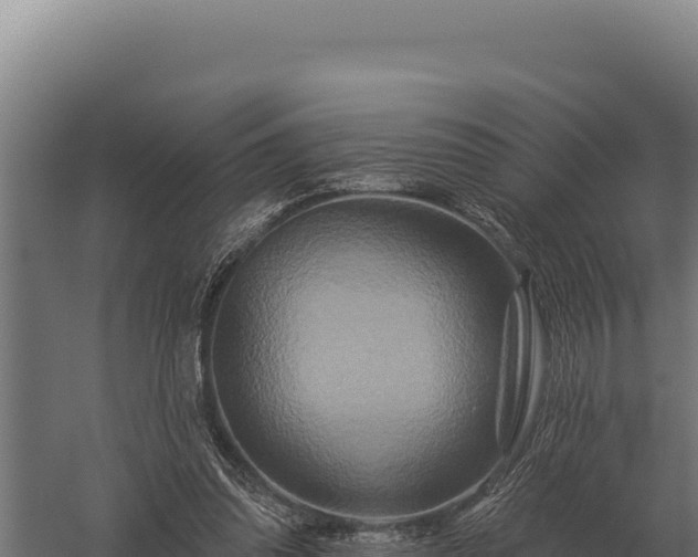 X0000059840302200510281831