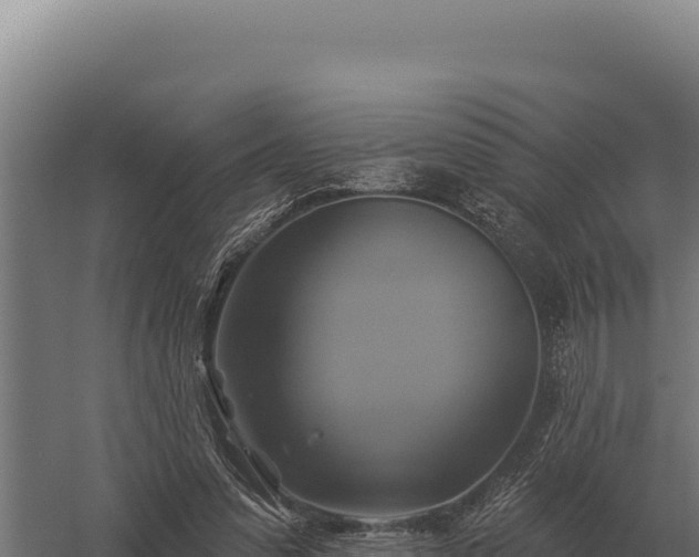 X0000059840303200510281831