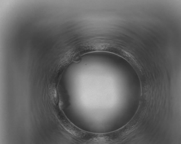 X0000059840307200510281831