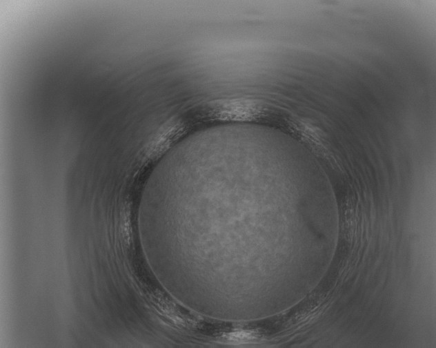 X0000059840312200510281831