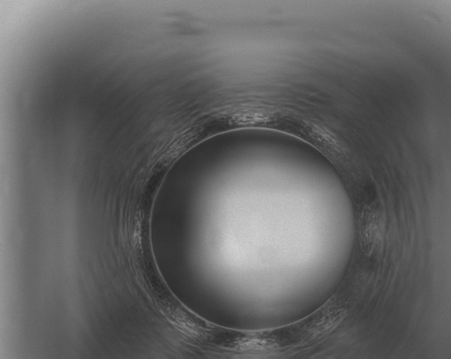 X0000059840315200510281831