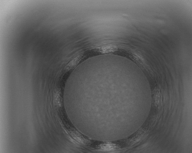 X0000059840316200510281831