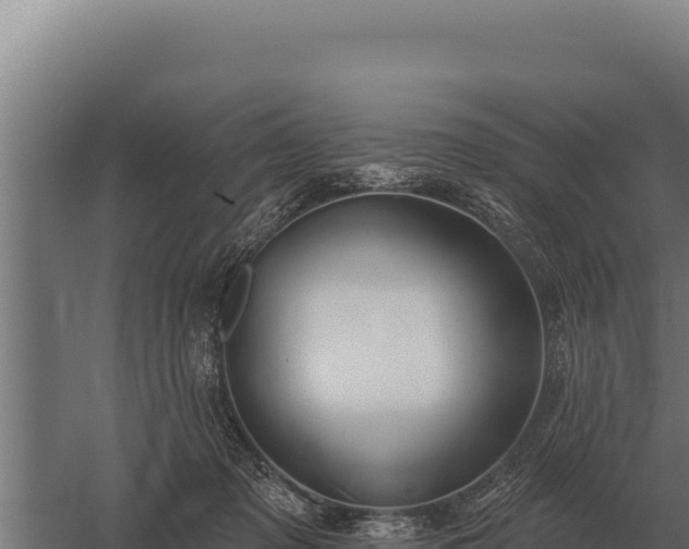 X0000059840317200510281831