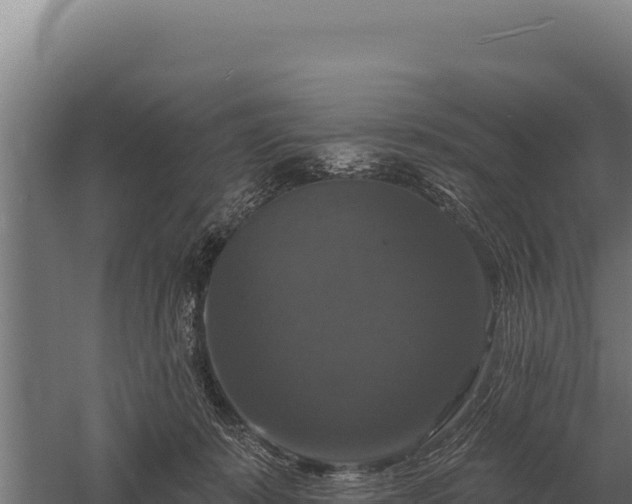 X0000059840319200510281831