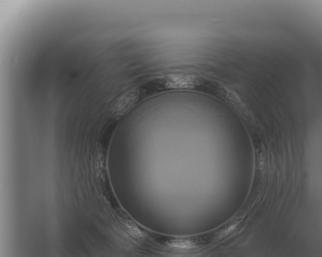 X0000059840322200510281831