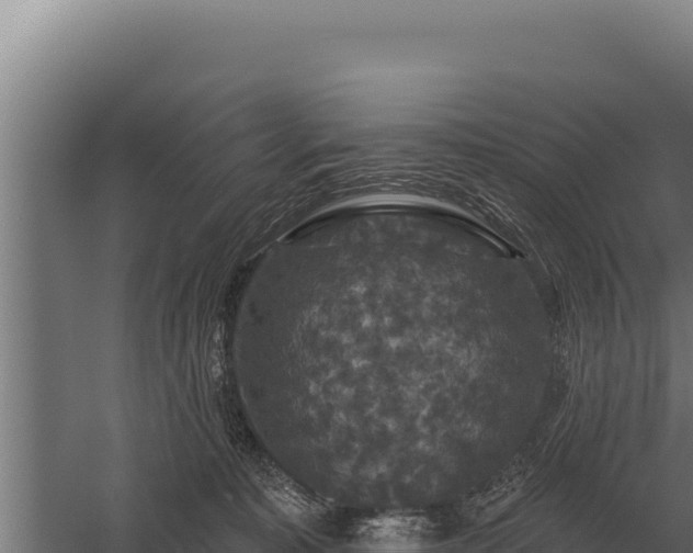 X0000059840323200510281831