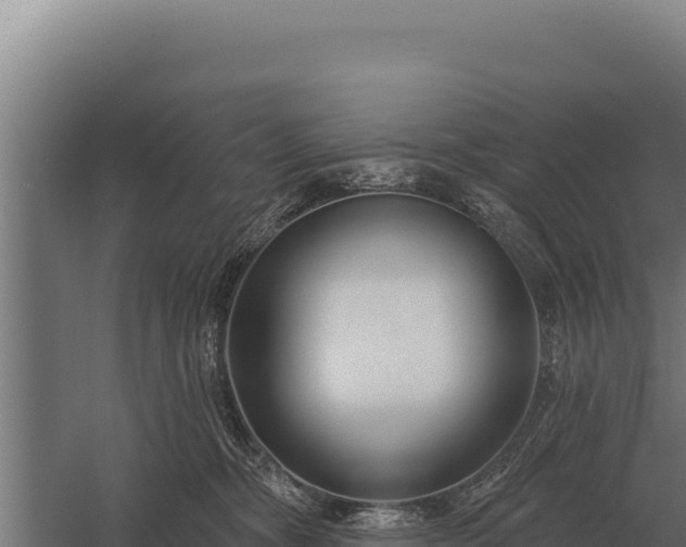 X0000059840326200510281831