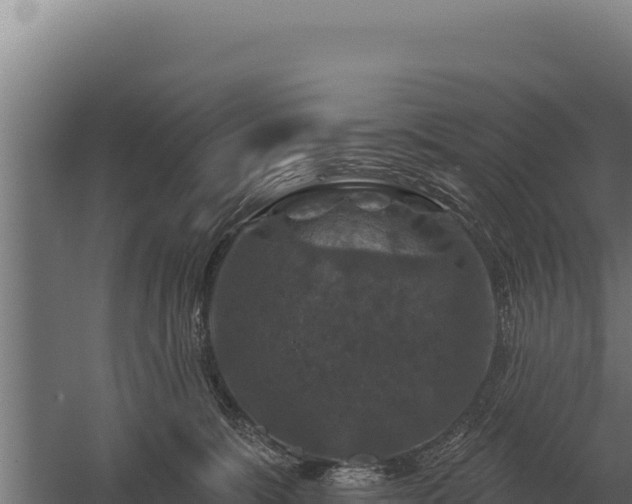 X0000059840327200510281831