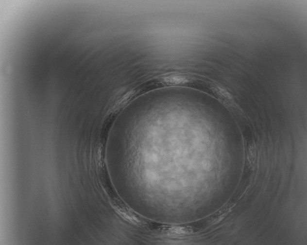 X0000059840330200510281831