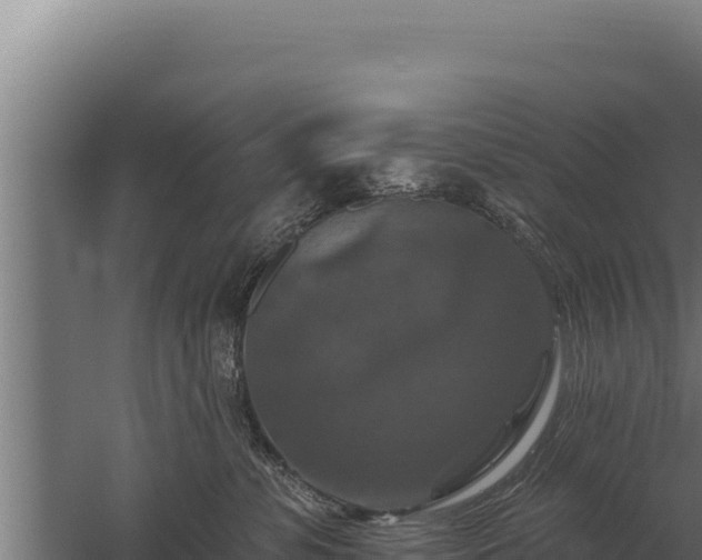 X0000059840331200510281831