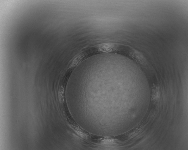 X0000059840332200510281831