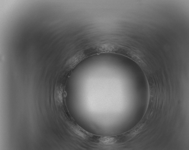 X0000059840334200510281831