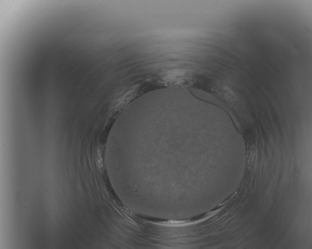 X0000059840335200510281831