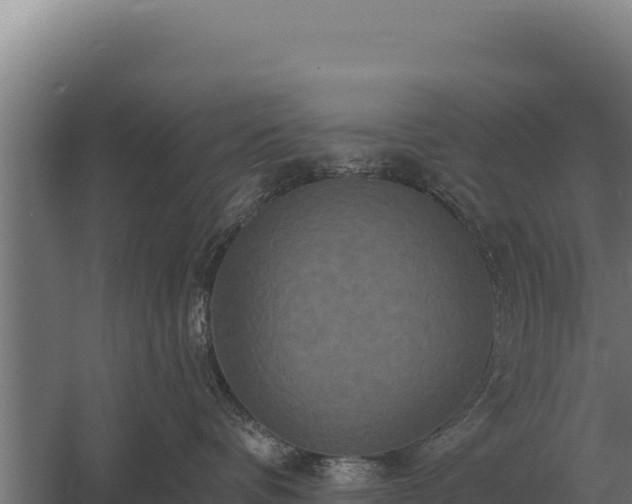 X0000059840336200510281831