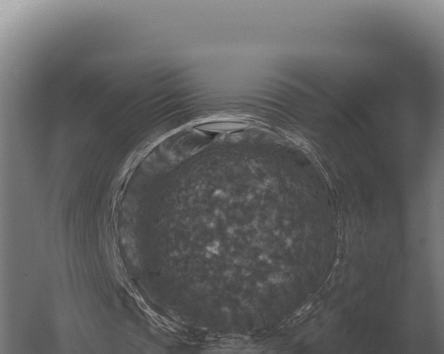 X0000059840337200510281830