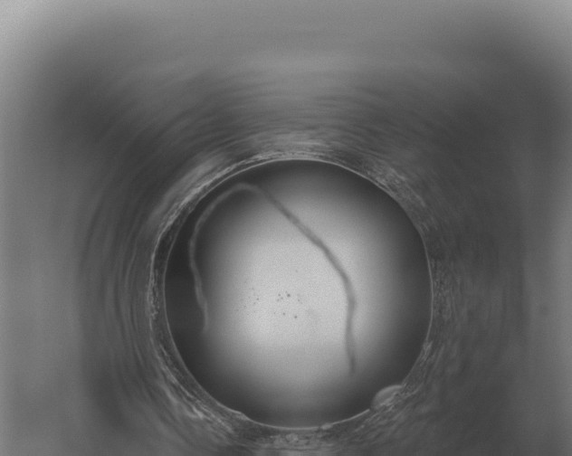 X0000059840338200510281830