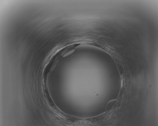 X0000059840339200510281830