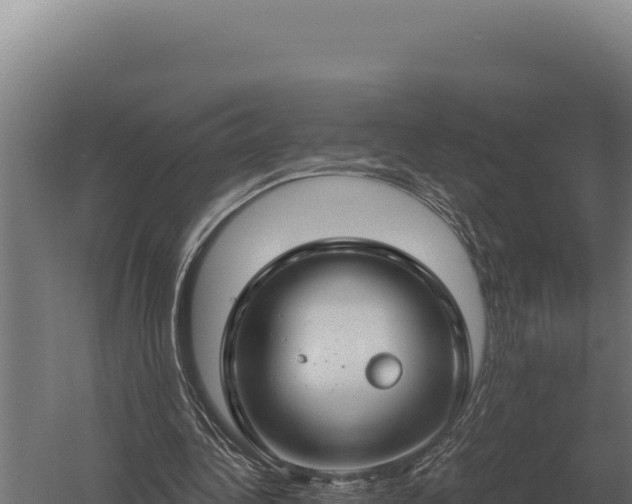 X0000059840340200510281830