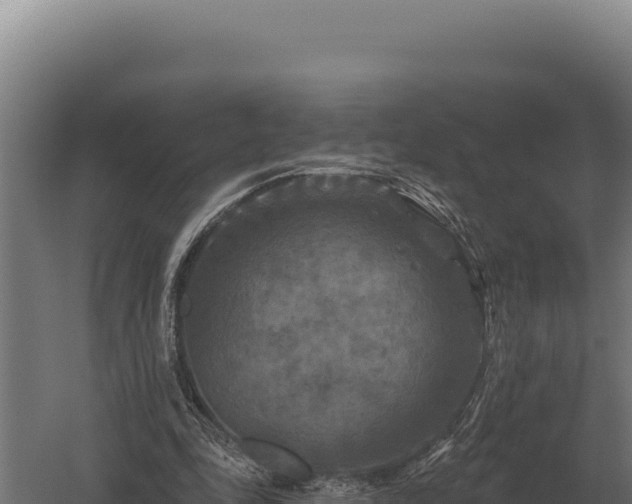 X0000059840343200510281830