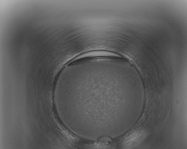 X0000059840345200510281830