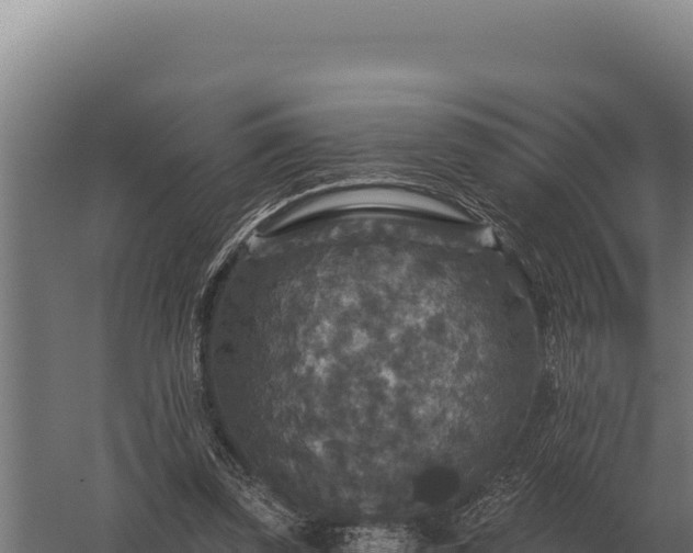 X0000059840347200510281830